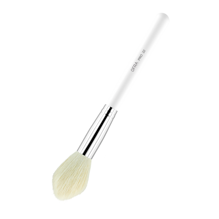 Brush #22 - Blush Brush