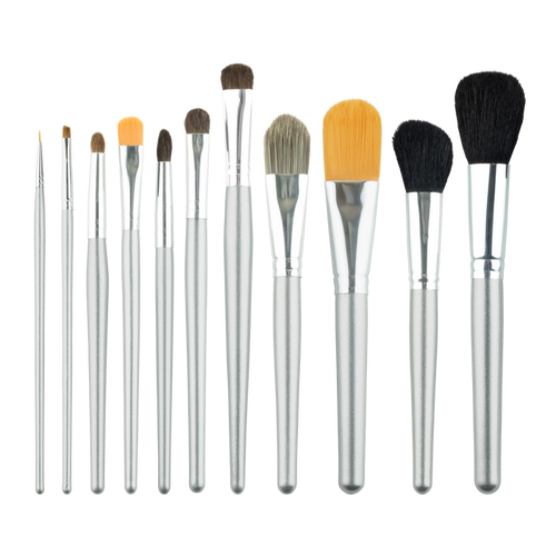Brush Set 11 Pieces