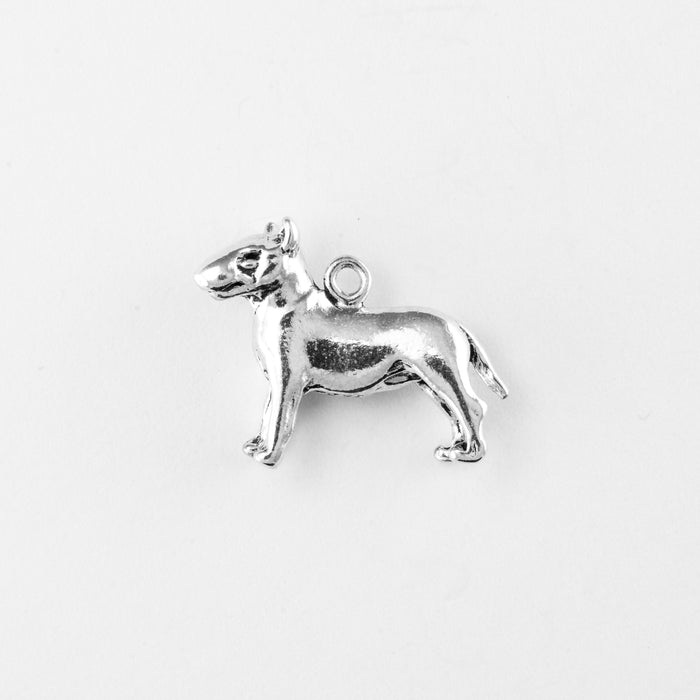 Bull Terrier