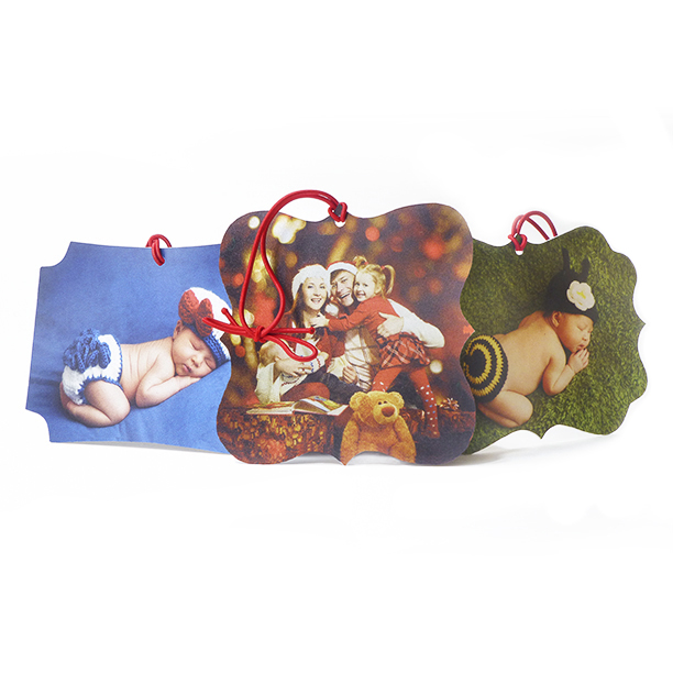 Customizable Canvas Ornament