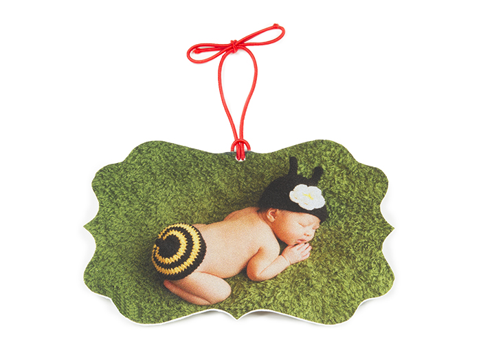Customizable Canvas Ornament