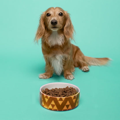 Customizable Pet Bowl