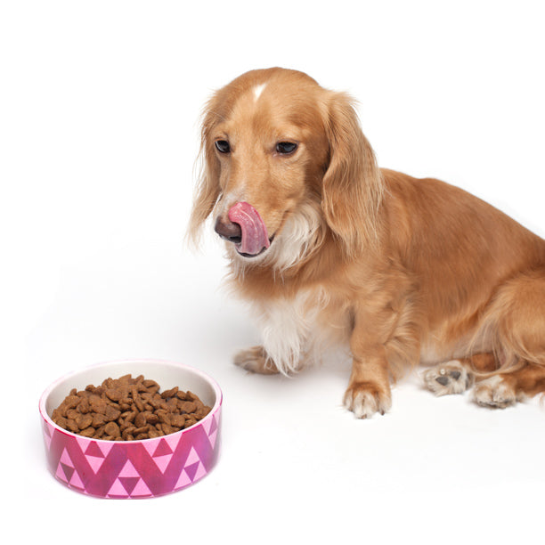 Customizable Pet Bowl