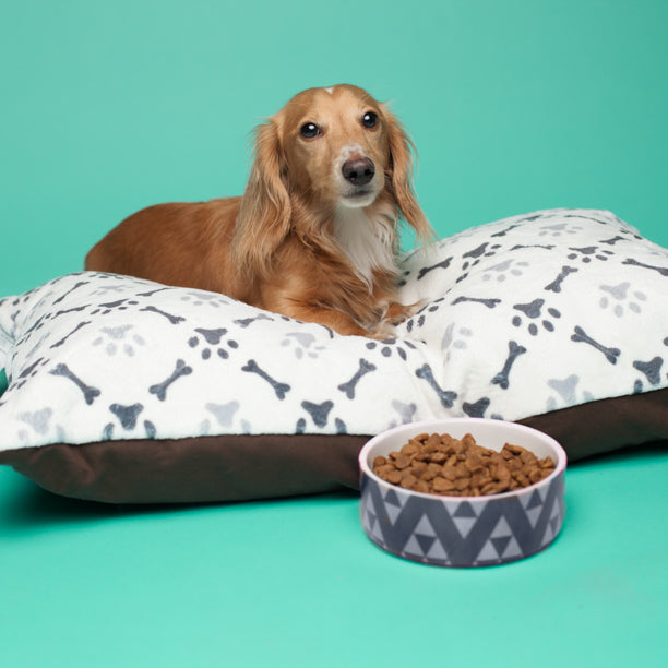 Customizable Pet Bowl