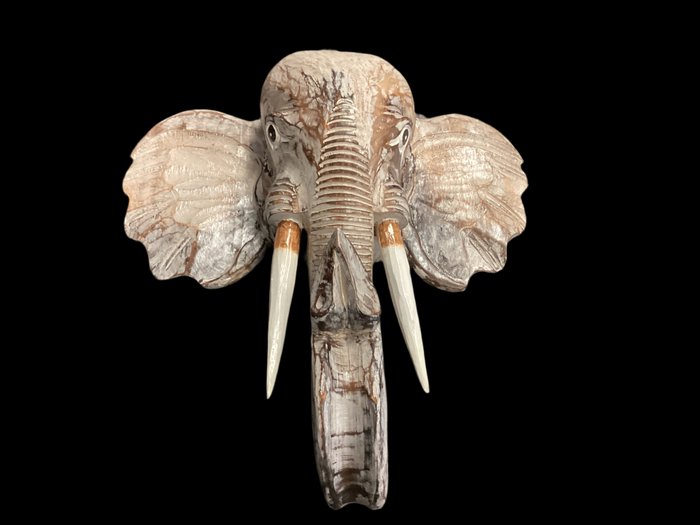 Elephant Head