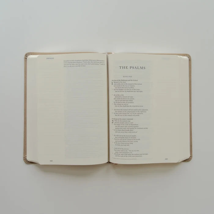 ESV Large Print Journaling Bible: Nara Theme