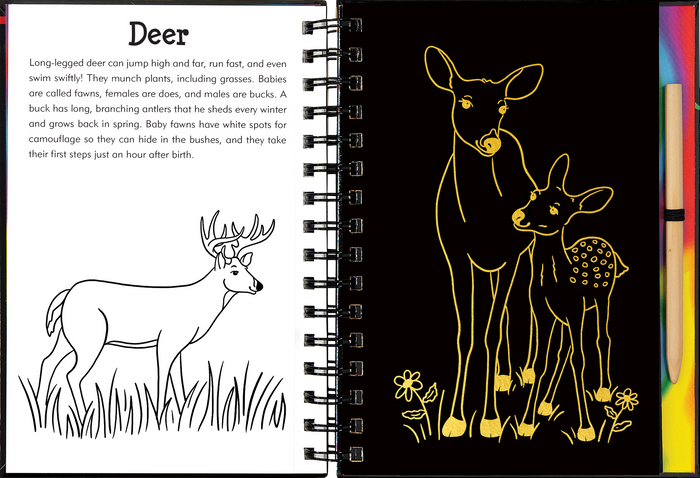 Forest Friends Scratch & Sketch™