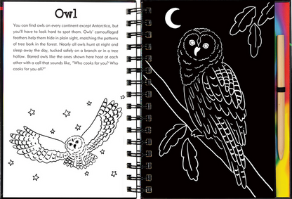 Forest Friends Scratch & Sketch™