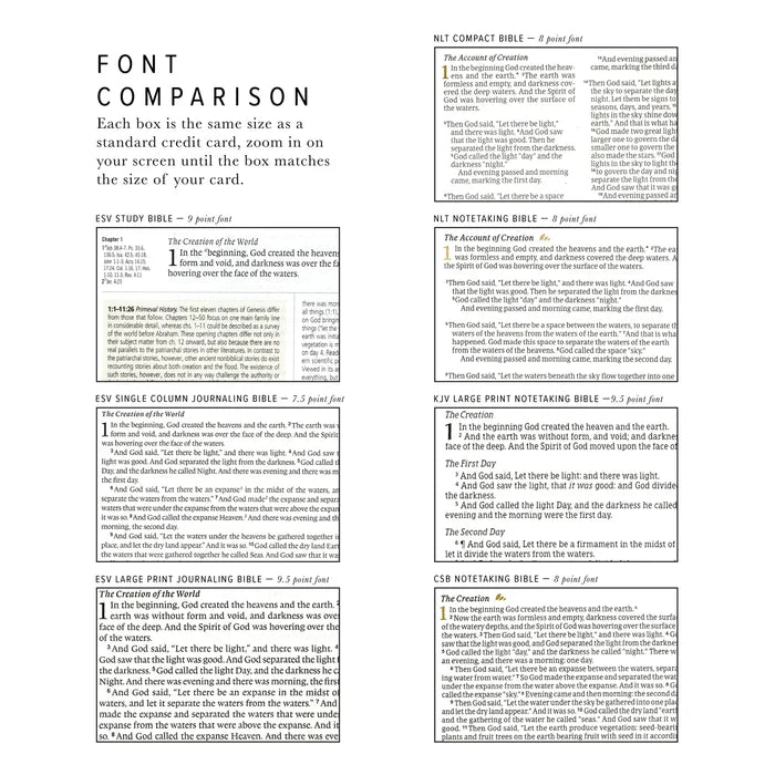 KJV Large Print Notetaking Bible: Vienna Theme