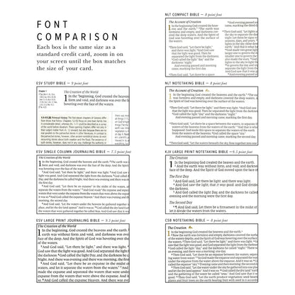KJV Large Print Notetaking Bible: Vienna Theme