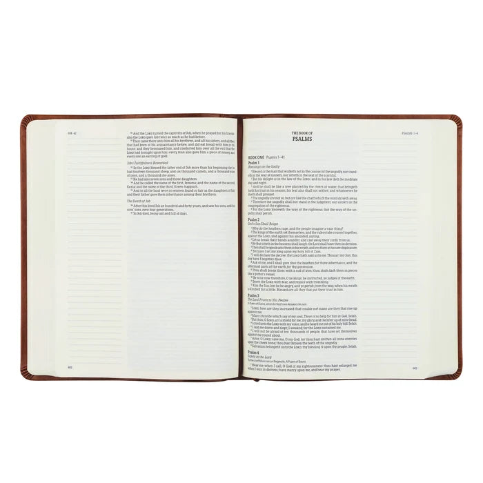 KJV Large Print Notetaking Bible: Vienna Theme