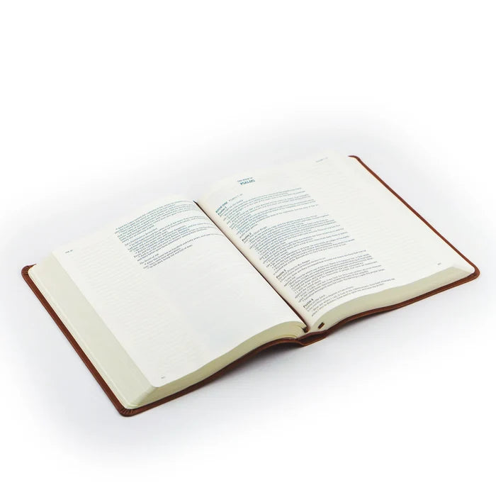 KJV Large Print Notetaking Bible: Vienna Theme