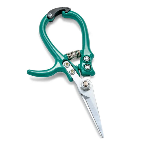 Modern Sprouts Garden Shears in Ocean