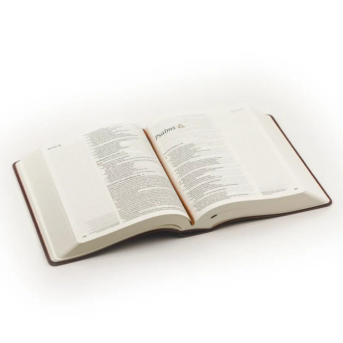 NLT Notetaking Bible: Santa Elena Theme
