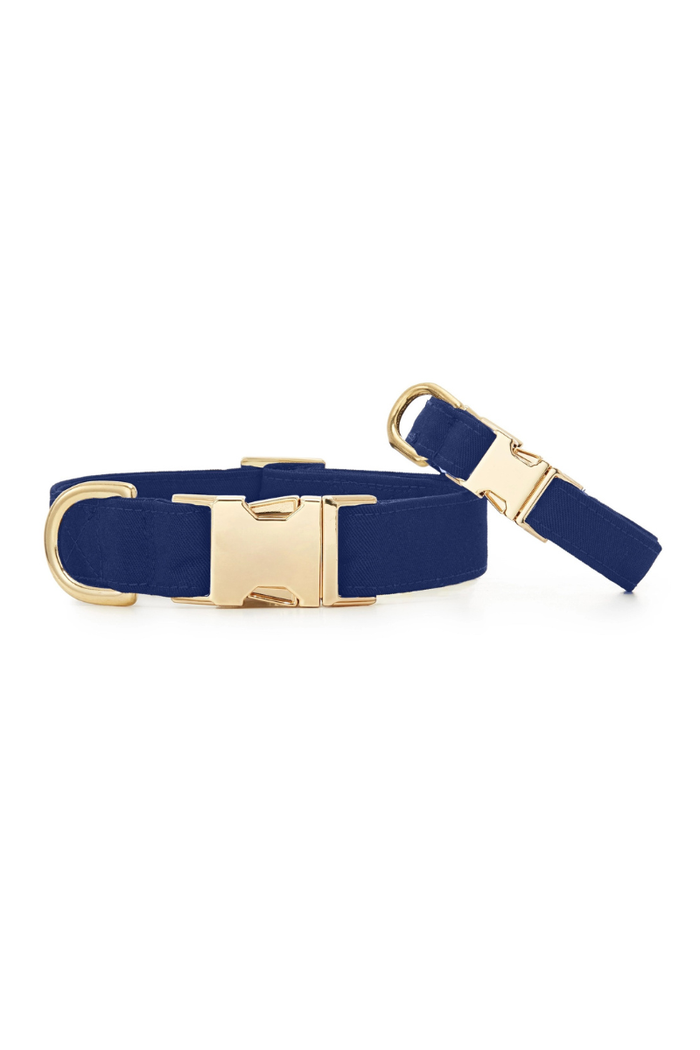 Ocean Dog Collar