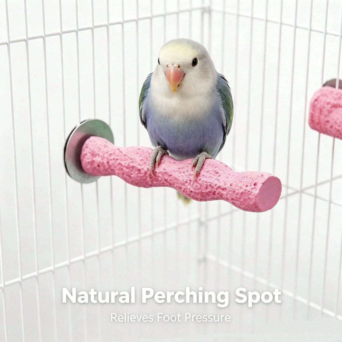 Perch Toy Interactive Stand,Perch Stand For Small Parrots,Twisted Resin Bird Perch,Cage Mount Grinding Nail Stand For Parakeets,Claw Grinding,Perching,And Training Educational Perch Stand,Universal Fi