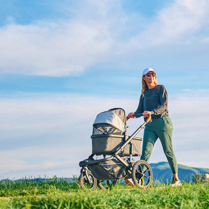 Veer Switchback Bassinet