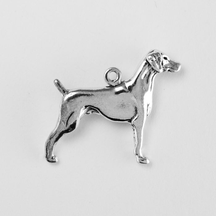 Weimaraner
