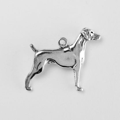 Weimaraner