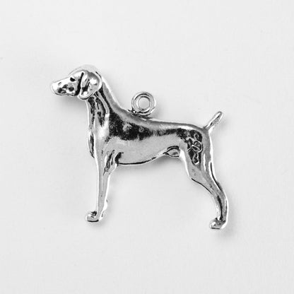 Weimaraner