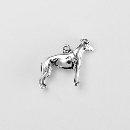 Whippet